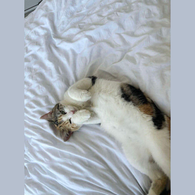 Photo of Nami