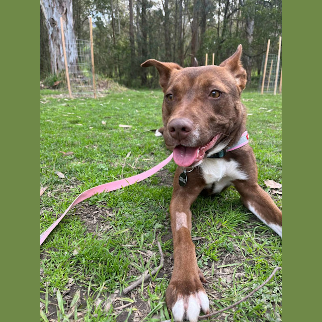 Photo of Lulu
