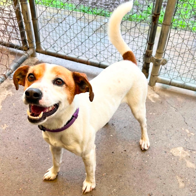 Photo of Josie
