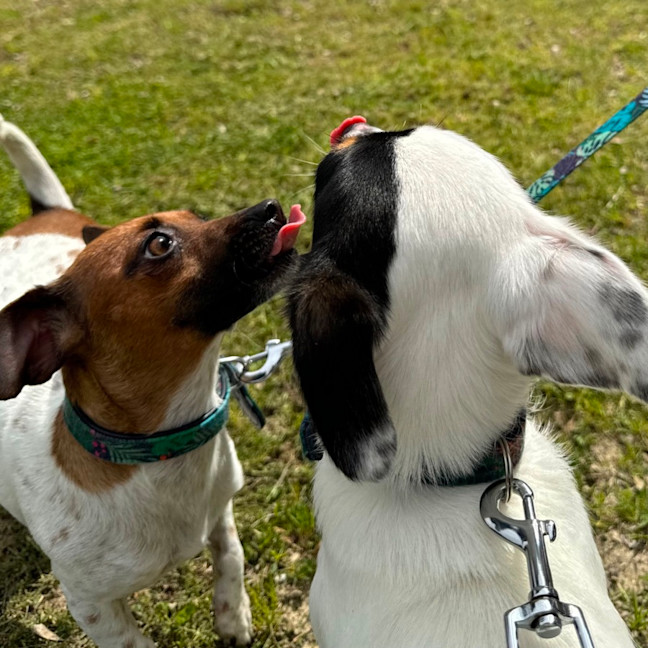 Photo of Gary And Willow 