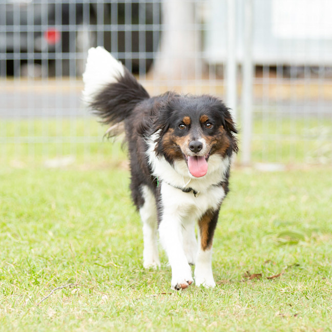 Photo of Milton 