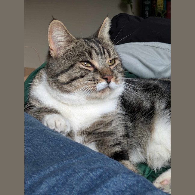 Photo of Tokyo & Miso 