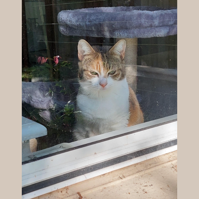 Photo of Princess