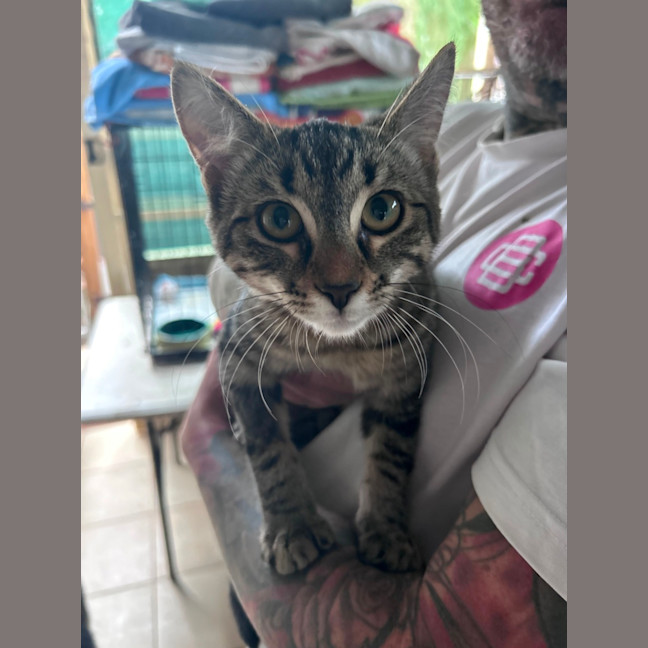 Photo of Porthos ⚔️ 