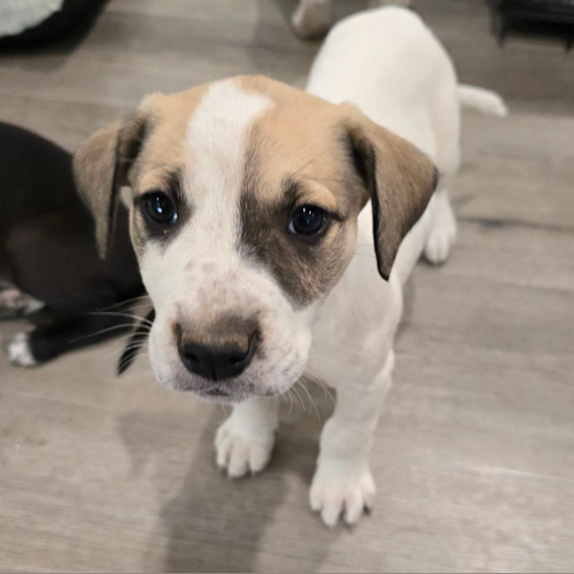 Photo of Lumpy Space Princess