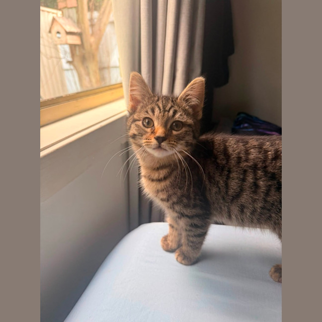 Photo of Polly