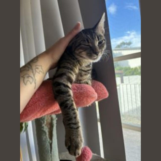 Photo of Hera