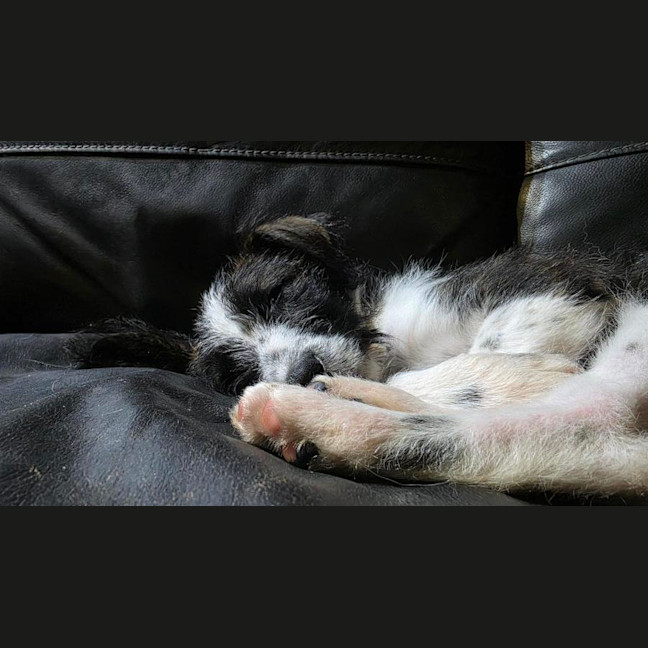 Photo of Maggie