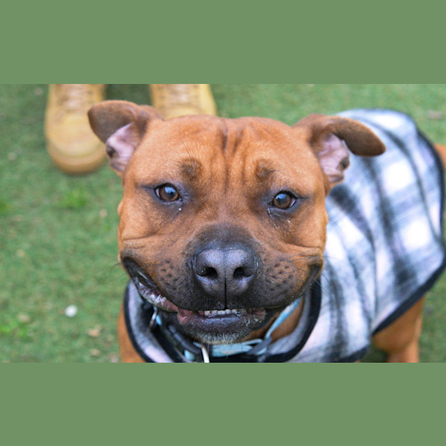 Photo of Rudi