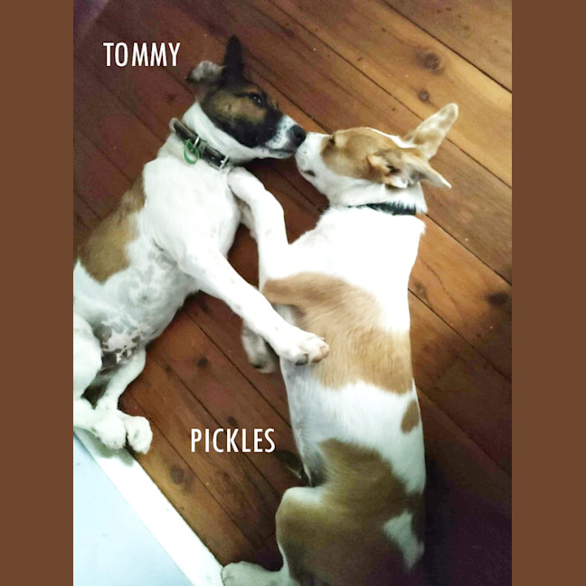 Photo of Tommy & Pickles