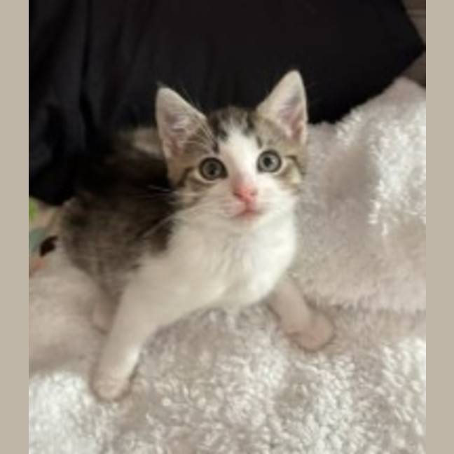 Photo of Molly