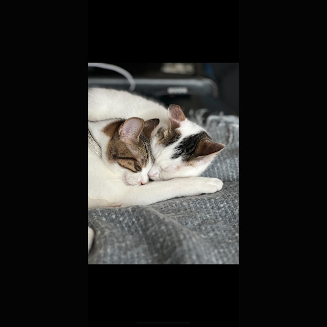 Photo of Maggie