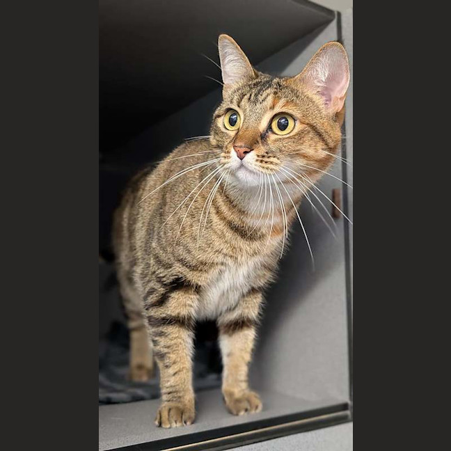 Photo of Sophie