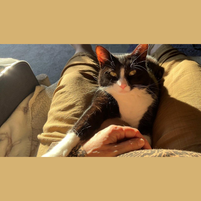 Photo of Penelope Babbington