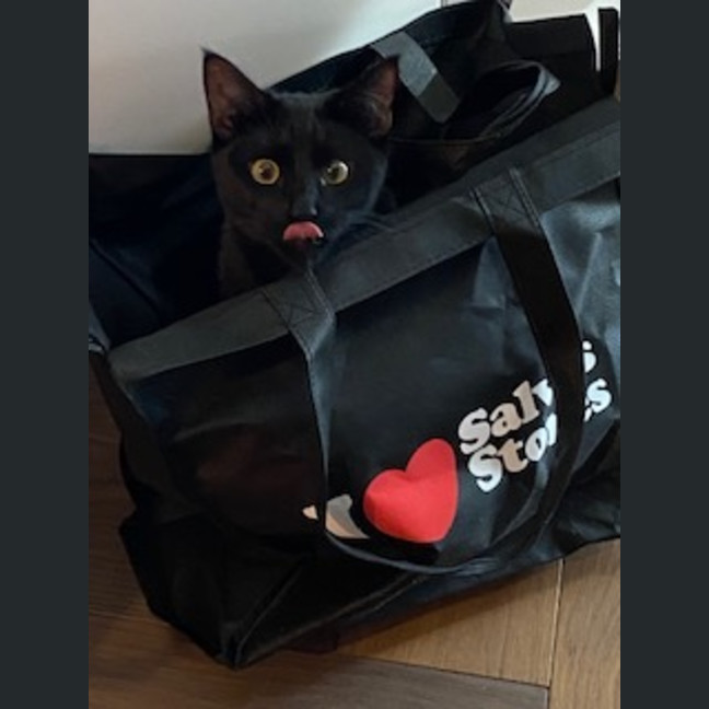 Photo of Boo