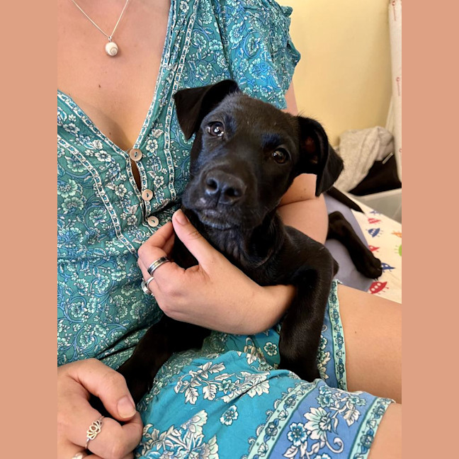 Photo of Skinny Marie (Evie)