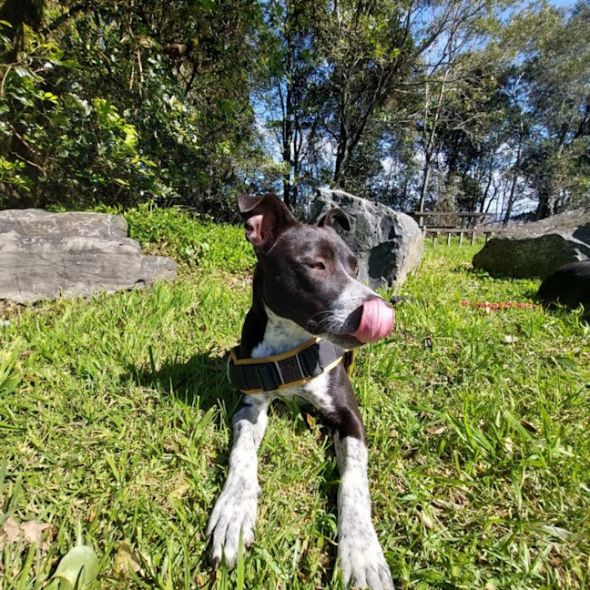 Photo of Maggie
