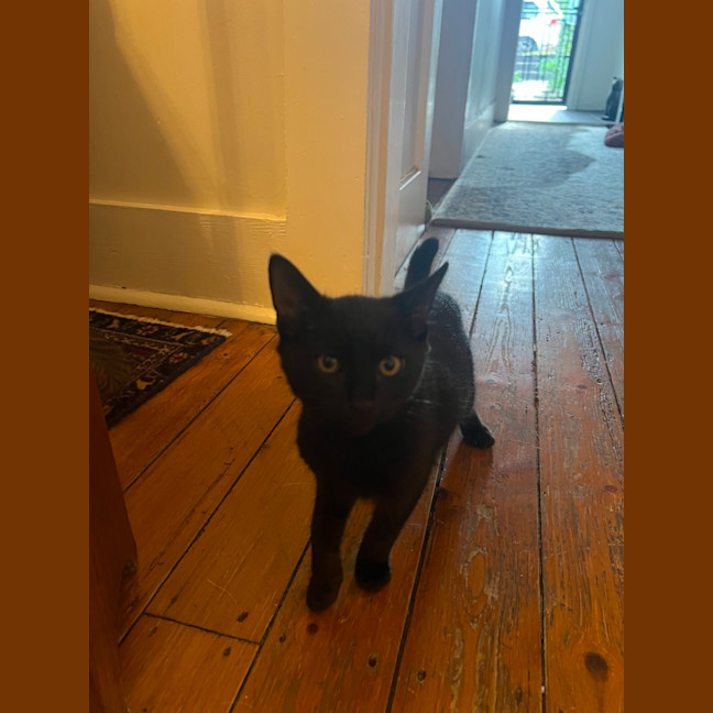 Photo of Klaus