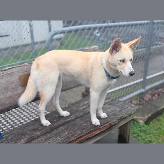 Photo of Sugar