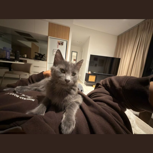 Photo of Earl Grey