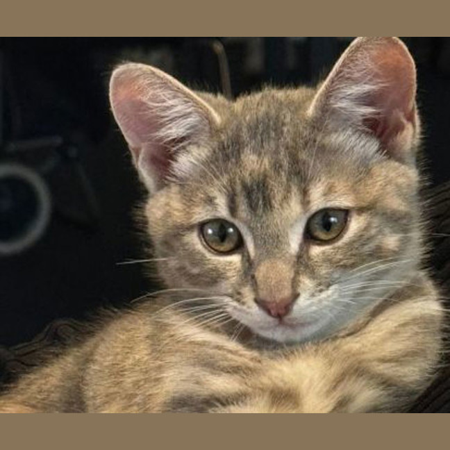 Photo of Ellie
