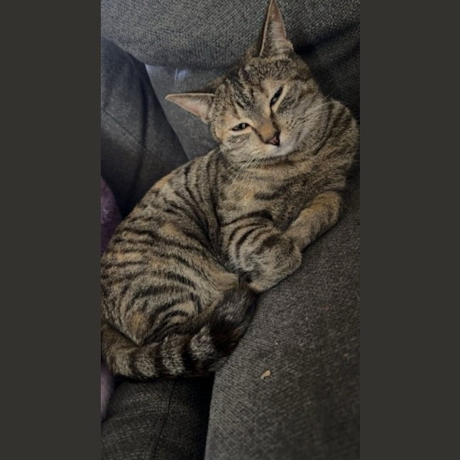 Photo of Hazel