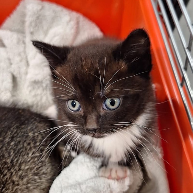 Photo of Brew