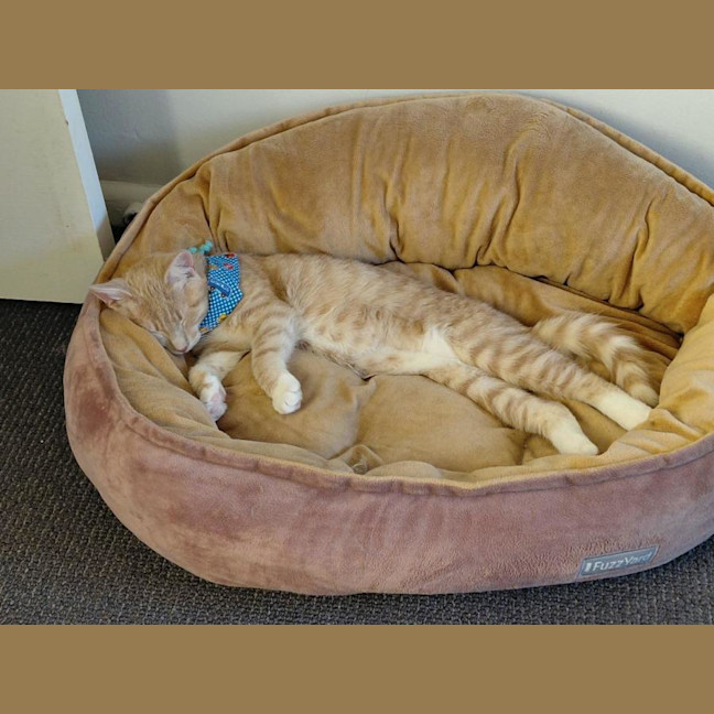 Photo of Roco Jacob