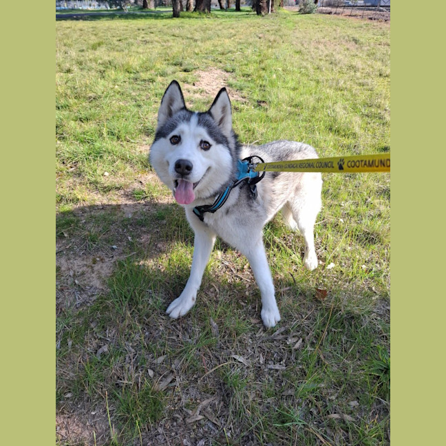Photo of Fen