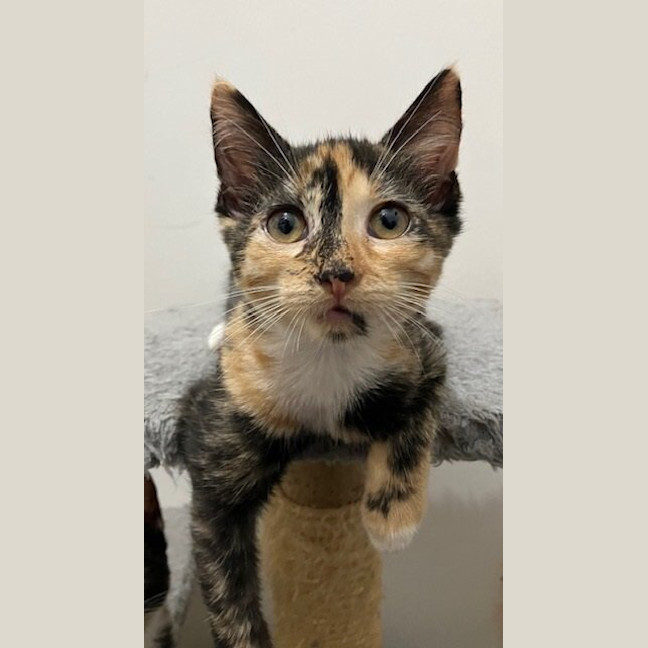 Photo of Hazel