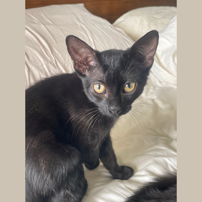 Photo of Missy