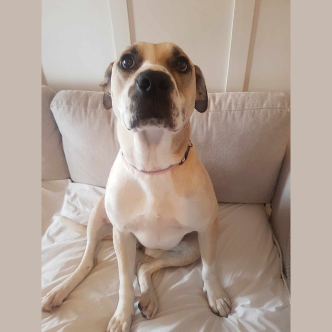 Photo of Hermione Granger