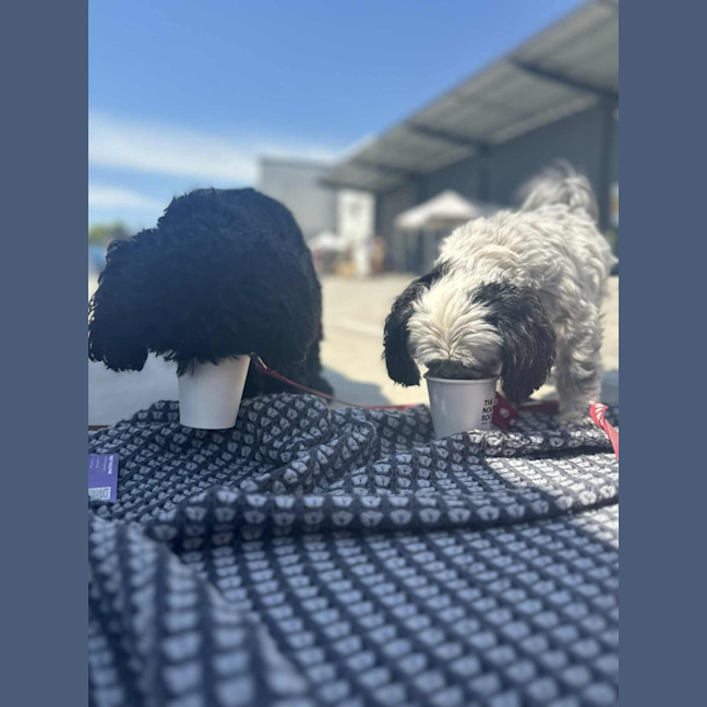 Photo of Layla And Franco