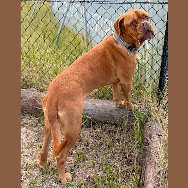 Photo of Lilly (7072)