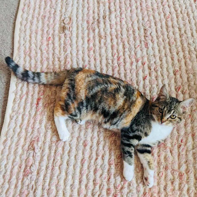 Photo of Worm   In Foster Care In Thornbury