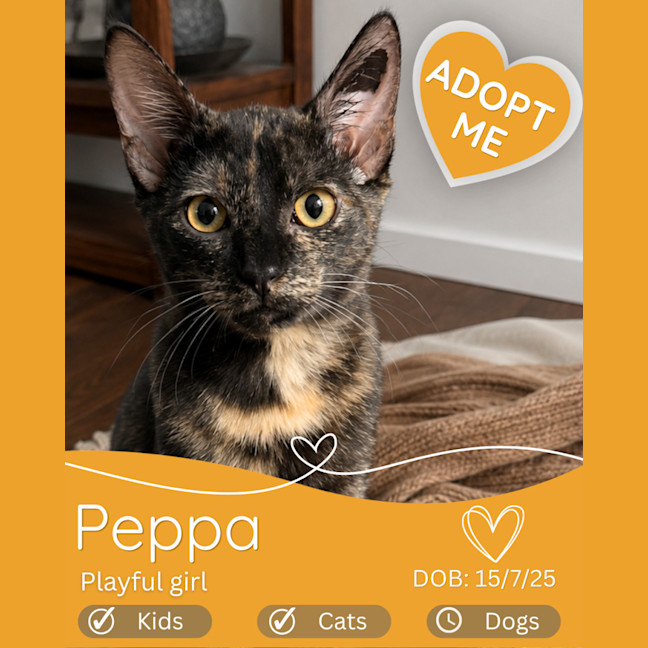 Photo of Peppa