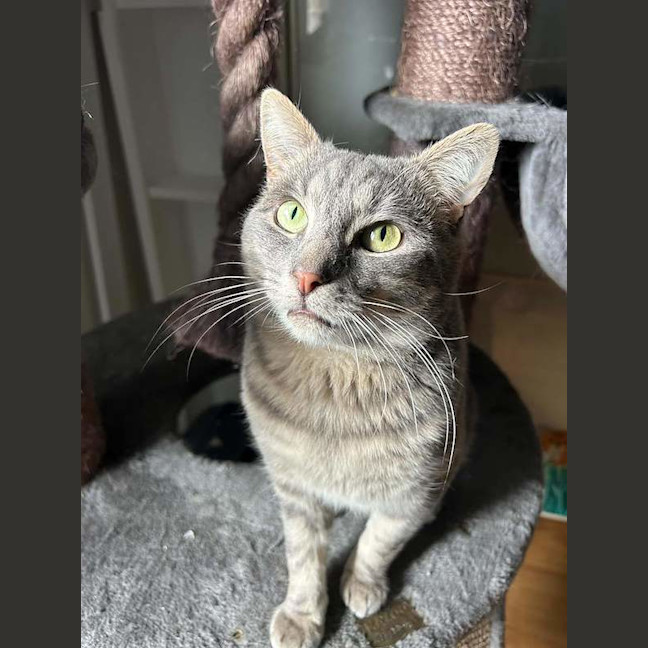 Photo of Vincent