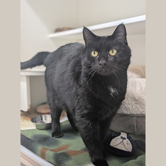 Photo of Bubby