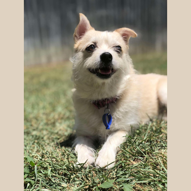 Photo of Tilly And Finn