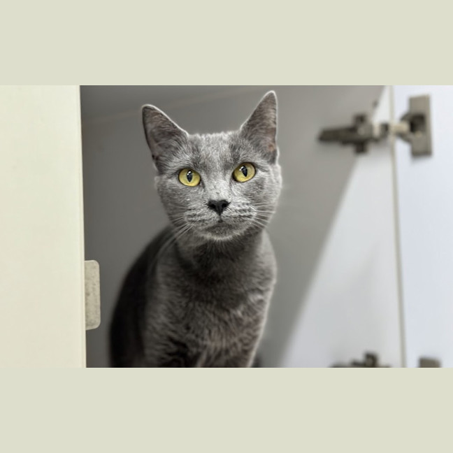 Photo of Sabrina 