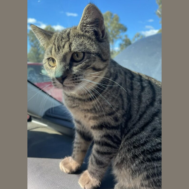 Photo of Spunk