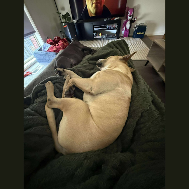 Photo of Butch