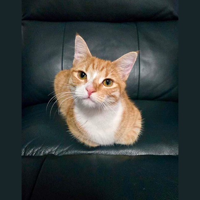 Photo of Lily