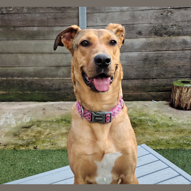 Photo of Narla