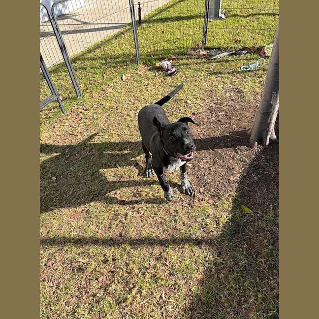 Photo of Rosco