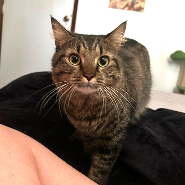 Photo of Tom