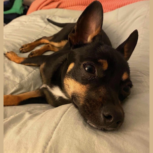 Photo of Joey
