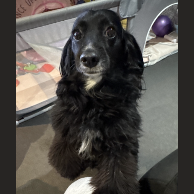 Photo of Maggie
