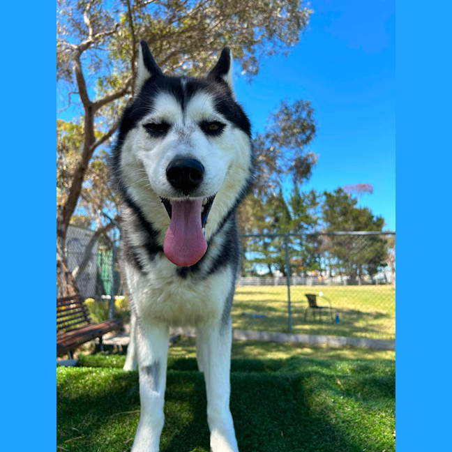 Photo of 🌪 Spiro 5596 🌪