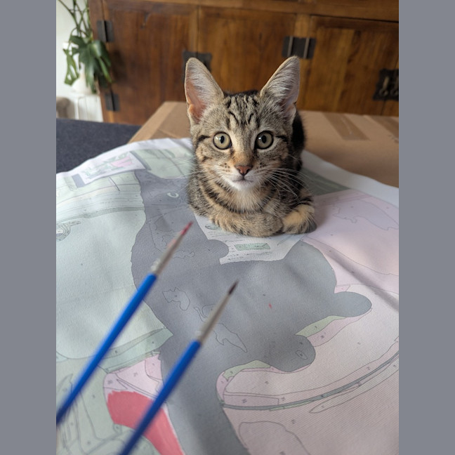 Photo of Lucia Scotty